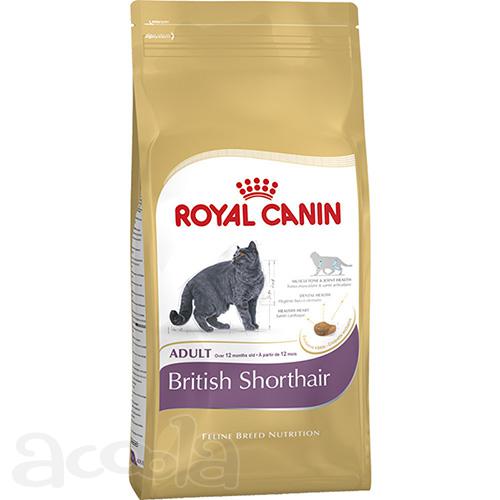 Сухой корм Royal Canin British Shorthair Adult
